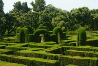 Barcelona’s secret gardens