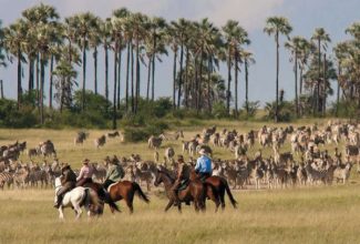 The best reasons to do a horseback safari in Africa