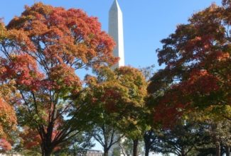 Tips for a perfect weekend in Washington, DC