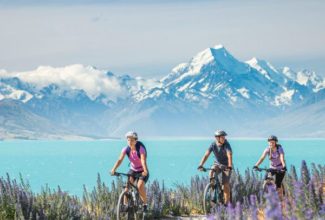 Exploring NZ with ways to enhance your holiday