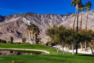 Fun things to do this summer in Greater Palm Springs