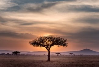 Top 10 honeymoon experiences in Africa