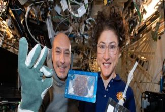 Hilton’s Famous Cookies Become First Food Baked in Space