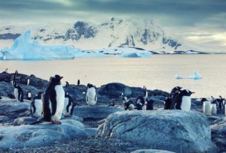 AdventureSmith Explorations Launches New Exclusive Antarctica Cruises for 2025-26