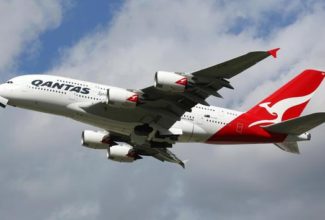 Woman Calls Out Qantas After Dog Dies on Flight