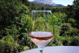 Discover the best wines in Provence