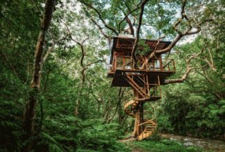 Luxury treehouse resort in Okinawa