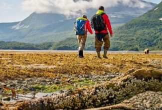 'Your Expedition Awaits' With Hurtigruten's Adventurous Voyages