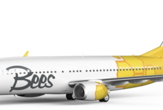 Bees Airline lifts off with AMOS