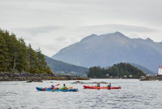 Hurtigruten Will Donate To Protect Alaskan Wildlife