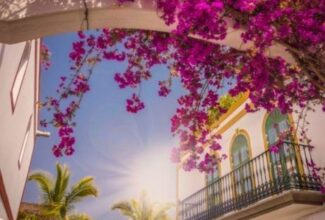 Discover Puerto Mogán the ‘Little Venice’ of Gran Canaria