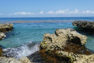 Airlines, Cruise Lines Boosting Tourism Restart Efforts in Cozumel