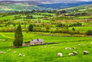 Ireland Soon Reopening To US Travelers: Here’s What To Expect