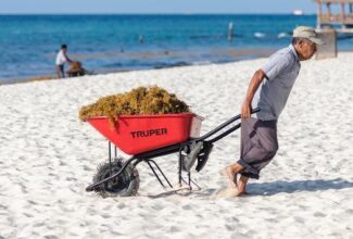 Mexican Caribbean Combating Sargassum Seaweed Ahead of Summer