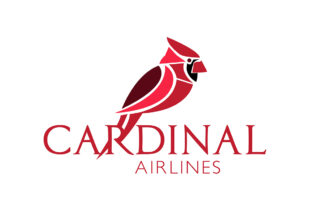 Nigerian start-up Cardinal Airlines in certification drive