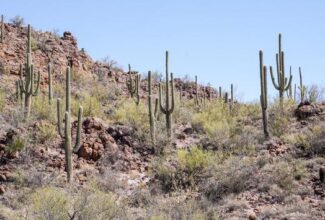 National Parks Offering Free Entry on 'Great American Outdoors Day'