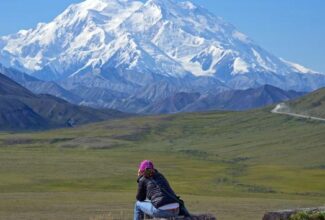 Holland America Line Launches ‘Love Letters to Alaska’ Giveaway Contest