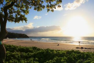 Hawaii Hotels Report Upswing in February Business