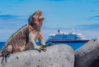 Hurtigruten Buys Minority Stake in Metropolitan Touring