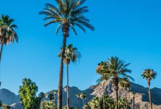 Palm Springs Becomes Autism Certified