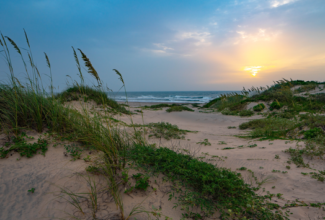 Surprising South Padre Island, Texas: A Nature Lover's Perfect Paradise