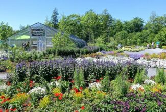 The 50 Best Flower Gardens in the USA