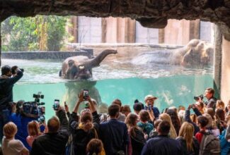 The Most Modern Zoo in Europe - Lodz's Orientarium