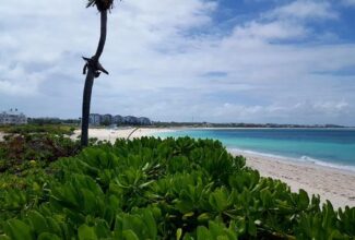 Turks and Caicos Air Arrivals Rebounding