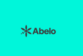 Elix Aviation merges with ADARE Aviation Capital to create Abelo