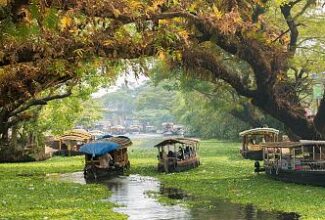 Here’s why you should explore the backwaters of India's Kerala