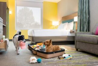 Hilton Expands Pet-Friendly Offerings, Petcare Partnership Across US and Canada