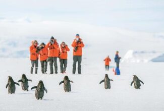 Lindblad Expeditions Adds Antarctica Departures & Free Air