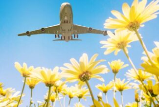 US Air Travel Is Normalizing After a Rough Father’s Day, Juneteenth Holiday Weekend