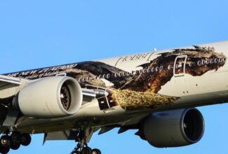 Air New Zealand staff asked to volunteer time to fill gaps in workforce