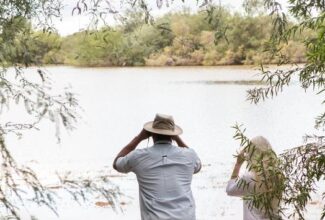 Explore the Sonoran Desert in Gilbert, Arizona