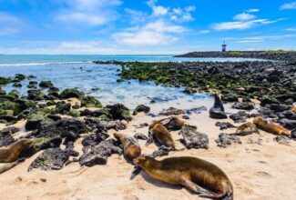 Aqua Expeditions Launches First Superyacht Sailing in the Galapagos Islands