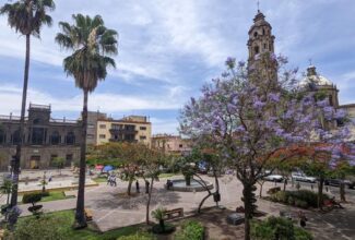 Guadalajara Propels the Meetings Industry's Recovery