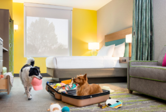 Latin America's Top Pet-Friendly Hotels