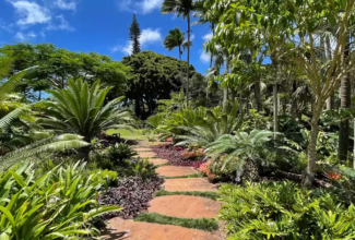 Luxury resort on an hawaiian island offers the perfect Wellness Retreat