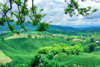 The Best Coffee routes in Latin America