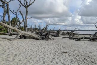 What To See and Do on Jekyll Island