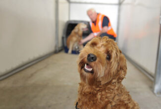 Air Canada Cargo first to be re-certified by IATA for the safe transport of live animals