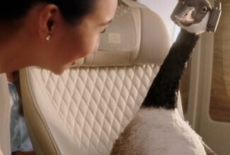 Air New Zealand trolls Emirates over Gerry the Goose ad campaign similarities