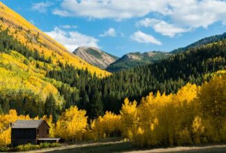 The best US Destinations for Fall Foliage Fall months