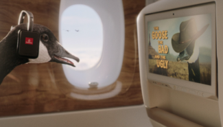 Gerry the goose enjoys a more luxurious flight