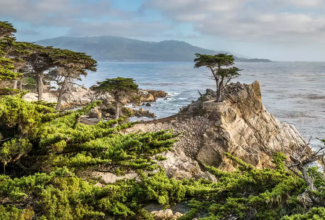 How to plan the perfect escape to California's Carmel-by-the-Sea