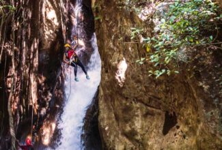 Costa Rica Is Back, Greener and More Intense