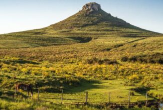 Uruguay's Rice Route Is an Adventure of Culture and Nature