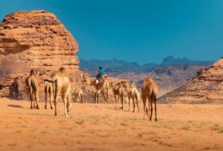 Why Saudi Arabia Is Your Next Adventure Travel Destination