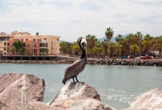 Five Sanctuaries of Natural Life in Mexico